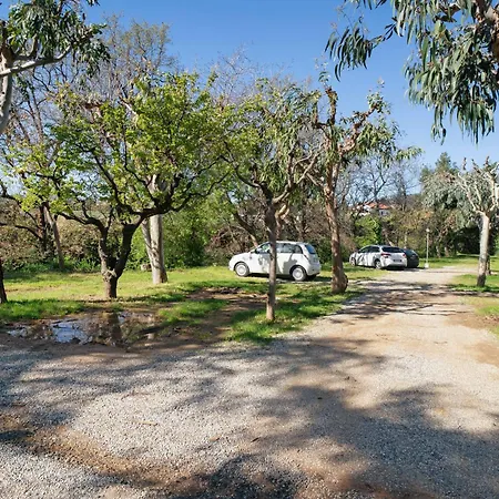 Дом отдыха New Generation La Pineta 7 *