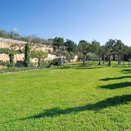 New Generation La Pineta 7